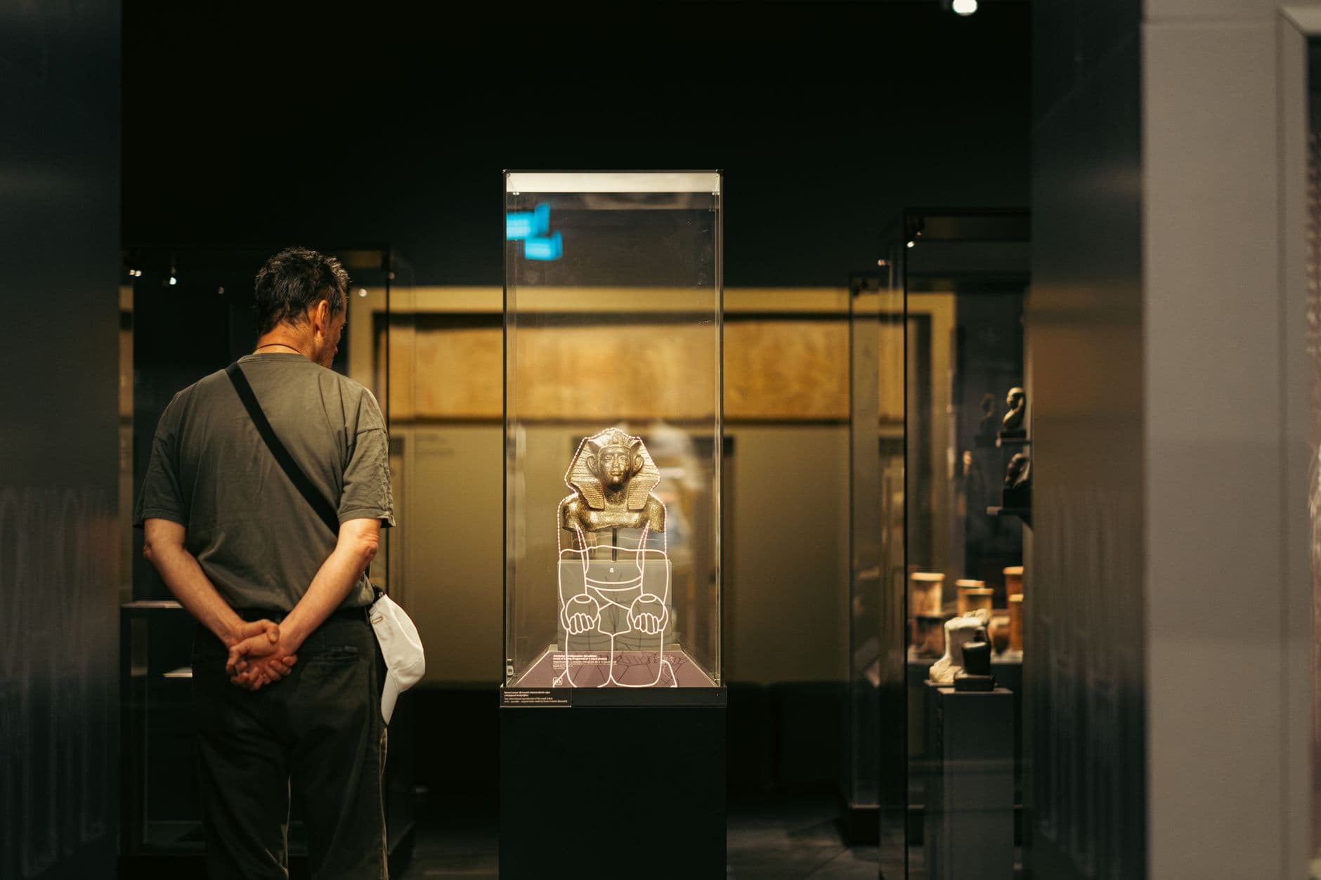 A lit vitrine holding a single catalogued object